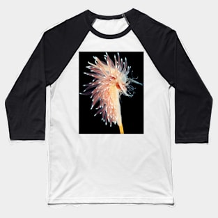 Sea slug (C021/6812) Baseball T-Shirt